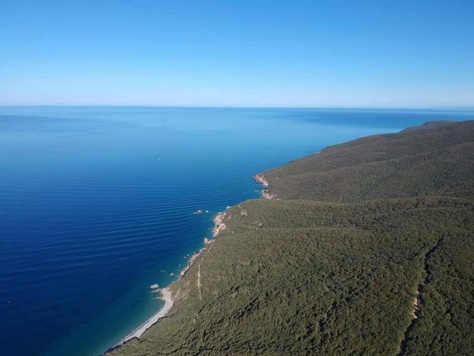 Il Balcone Sull'Elba Lägenhet Piombino Exteriör bild